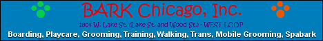 BARK Chicago - Dog Daycare Chicago