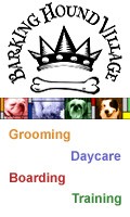Dog Services Dallas