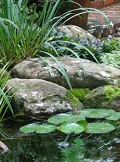 Garden Designer Atlanta