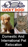 Pet Relocation USA