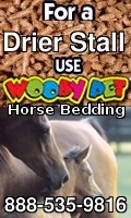  Wholesale Horse Supplies Remington 