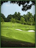 Golf Lessons Atlanta