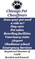 Pet Transportation Chicago