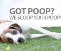 Pooper Scoopers Dallas