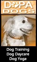 Dog Obedience Training Chicago