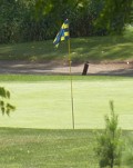 Golf Equipment Ann Arbor