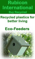 Bird Houses & Feeders Dallas