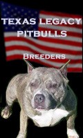 Pit Bull Breeders Texas