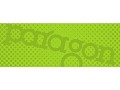 Paragon Advertising - logo