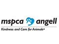 Angell Animal Medical Center - logo