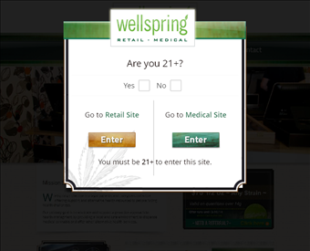 Wellspring Collective web screenshot