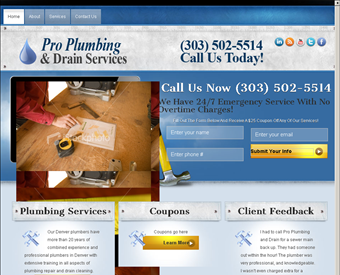 Pro Plumbing & Drain Services web screenshot