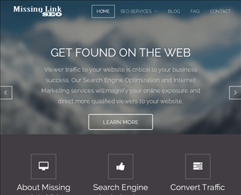 Missing Link SEO Services web screenshot