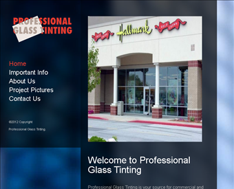Pro Glass Tint web screenshot