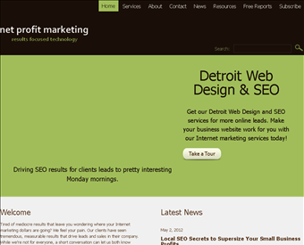 Net Profit Marketing web screenshot