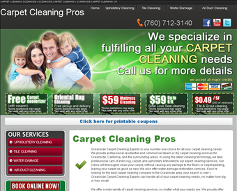 Carpet Cleaning Pros web screenshot