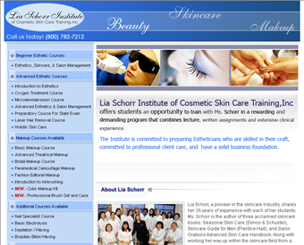 The Lia Schorr Institute of Cosmetic Skin Care Training web screenshot