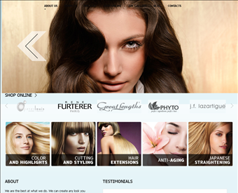 Peter Louis Salon web screenshot