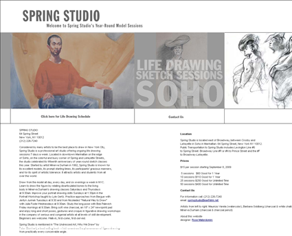 Spring Studio web screenshot