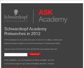 Schwarzkopf Academy web screenshot