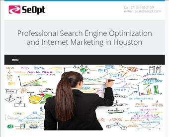 SeOpt.com Internet Marketing web screenshot