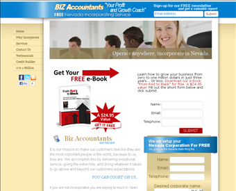 Biz Accountants web screenshot