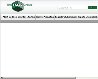 Bates Group LLC web screenshot