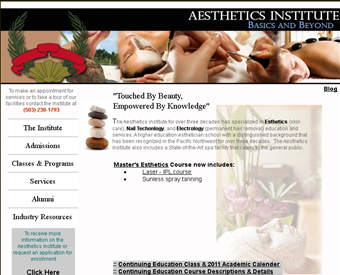 Aesthetics Institute web screenshot