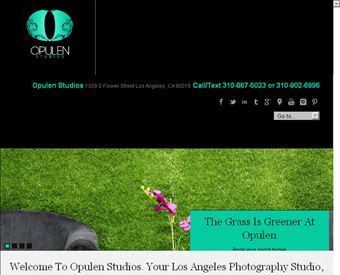 Opulen Studios web screenshot