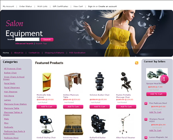 Los Angeles Salon Beauty Equipment web screenshot