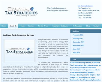 EBS consulting web screenshot