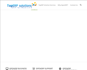 Top ERP Solutions web screenshot