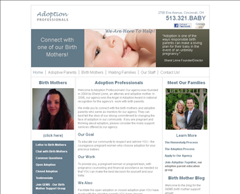 Adoption Professionals web screenshot