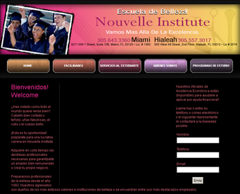 Nouvelle Institute web screenshot