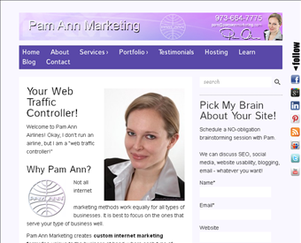 Pam Ann Marketing web screenshot