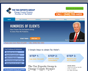 The Tax Experts Group web screenshot