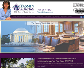 Yasmin Abadian web screenshot