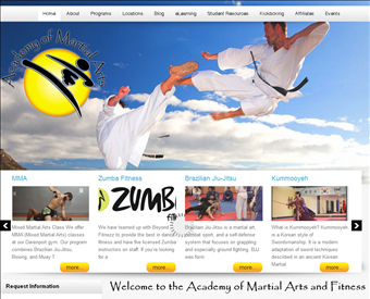 Academy Martial Arts web screenshot