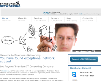 Barebones Networking Inc. web screenshot