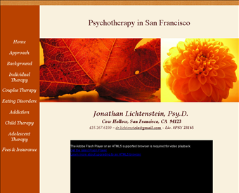 Jonathan Lichtenstein, Psy.D web screenshot