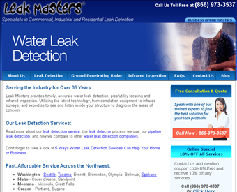 Leak Masters web screenshot