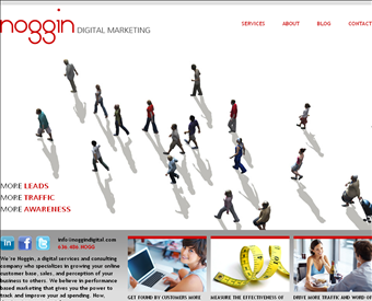 Noggin Digital Marketing web screenshot