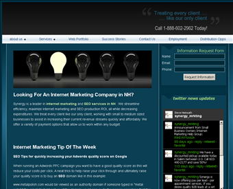 Synergy Search Engine Marketing web screenshot