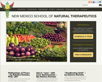 Massage Therapy School web screenshot