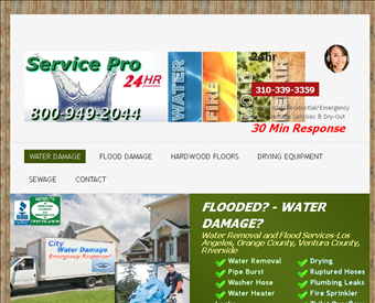 City Water Damage Los Angeles web screenshot