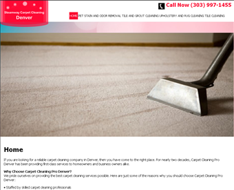 Steamway Carpet Cleaning Denver web screenshot