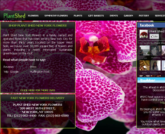 Plant Shed New York Flowers web screenshot