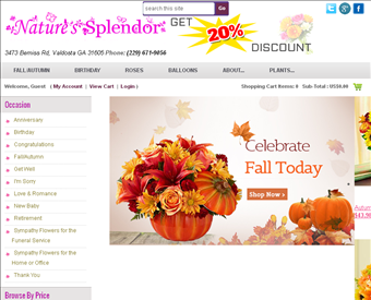 Nature's Splendor  - Flowers & Gifts web screenshot