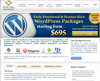 Digital Intersect LLC web screenshot