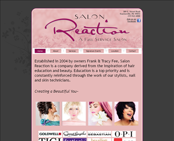 Salon Reaction web screenshot